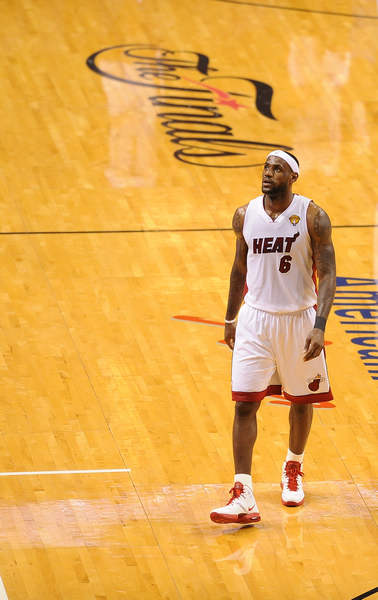 家队的竞争 家队的竞争